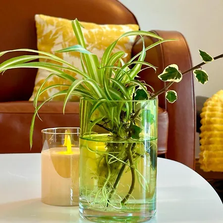 Apartmán Le Victor Hugo De La Robine