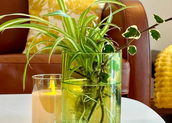 Διαμέρισμα Le Victor Hugo De La Robine